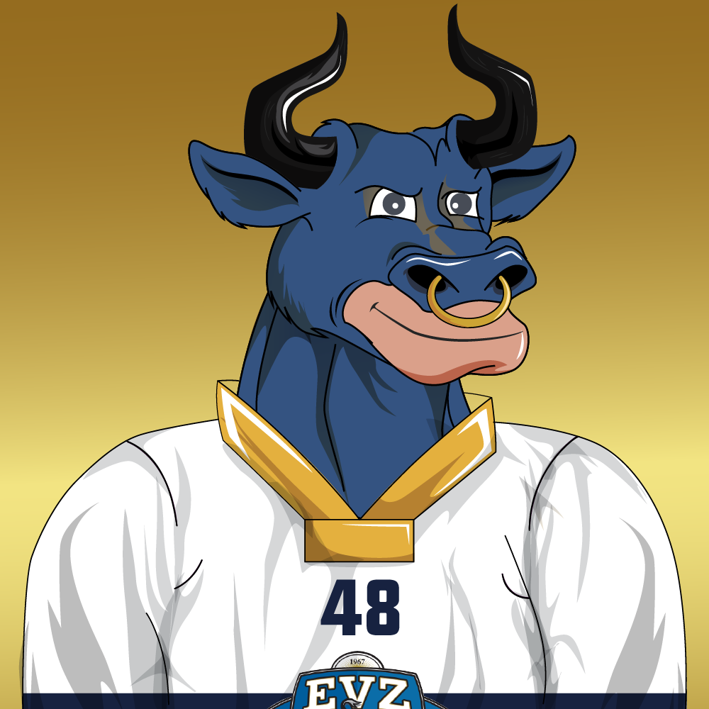 EVZ Bulls