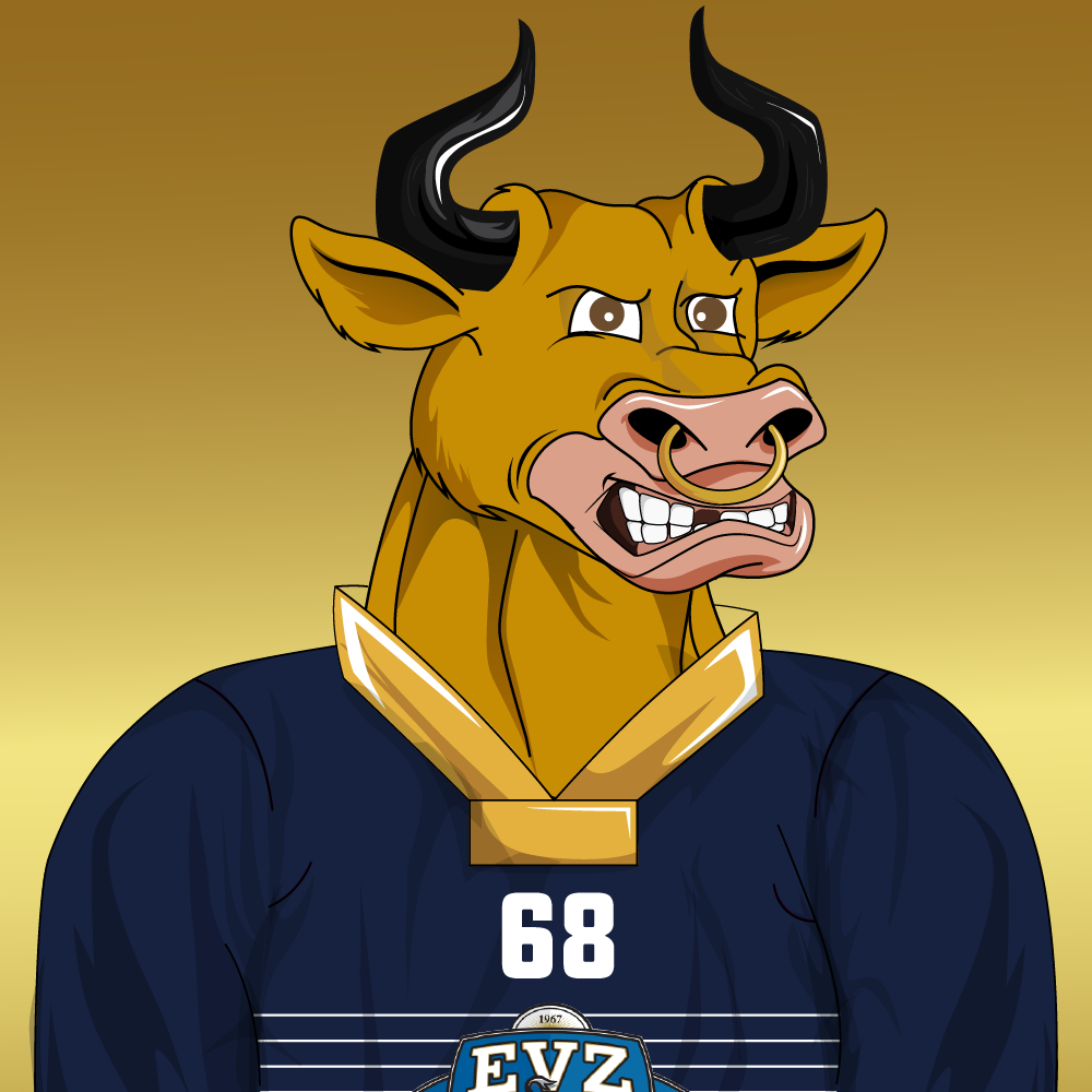 EVZ Bulls